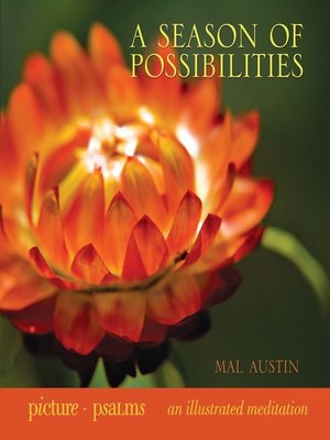 cover image of A Season of Possibilities